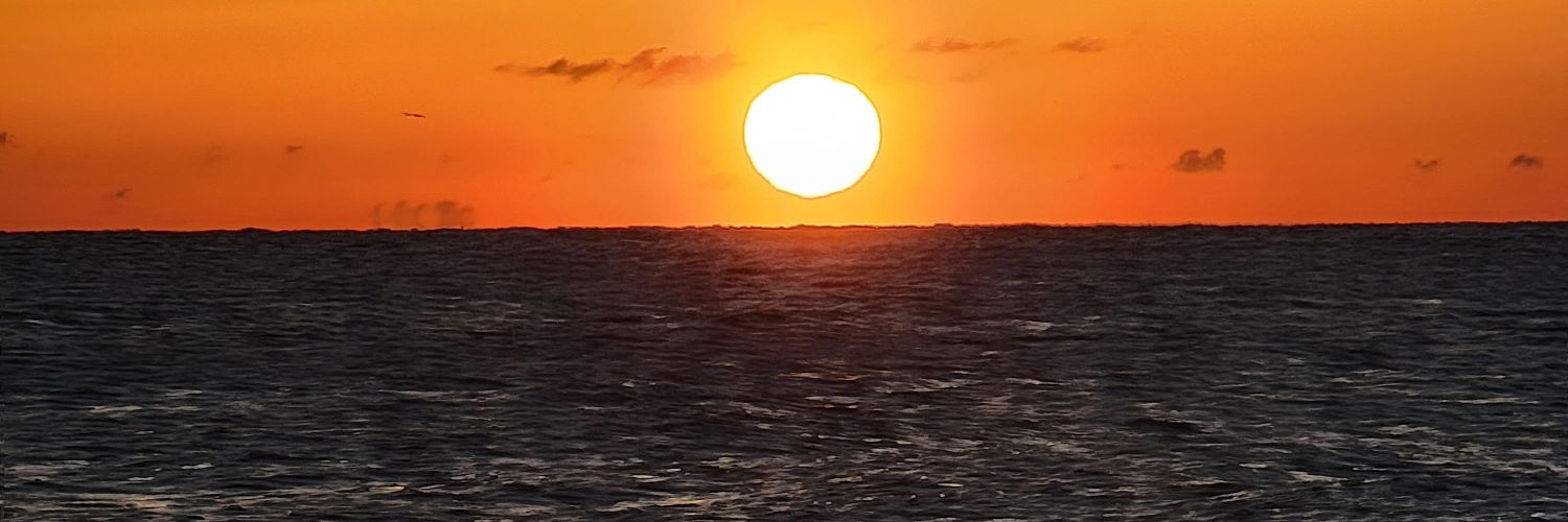 joshpotthoff's profile banner image
