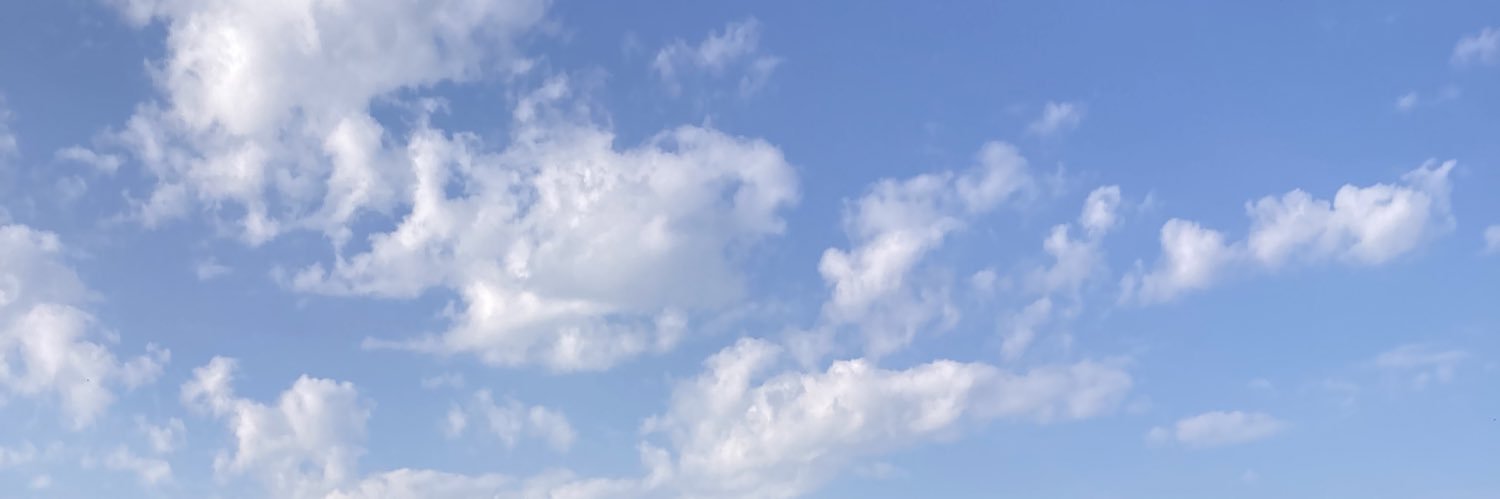 Imogen Hansen banner