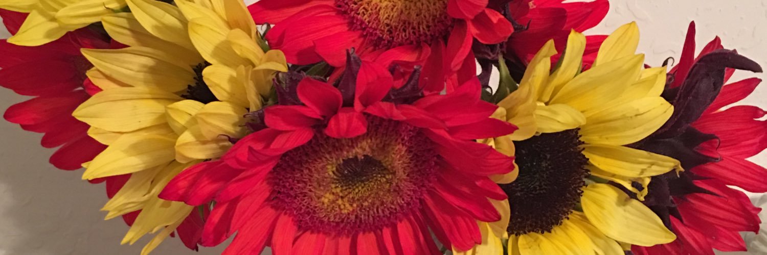 AlmostAFrymire's profile banner image