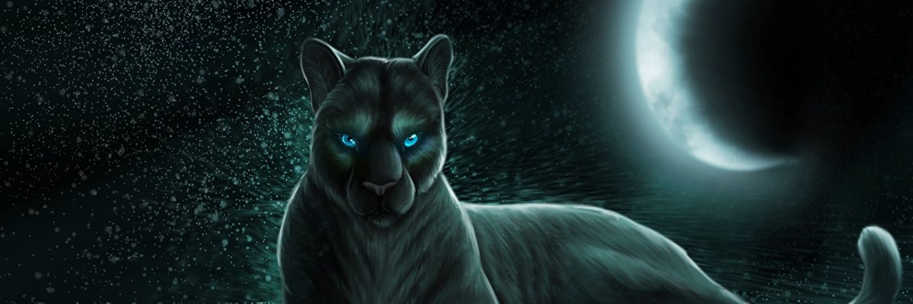 kim_boysen's profile banner image