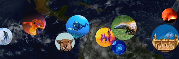 UCLAIoES Profile Banner