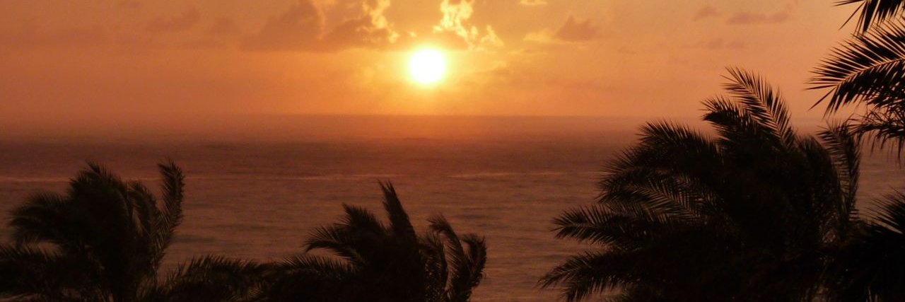 teodorg's profile banner image