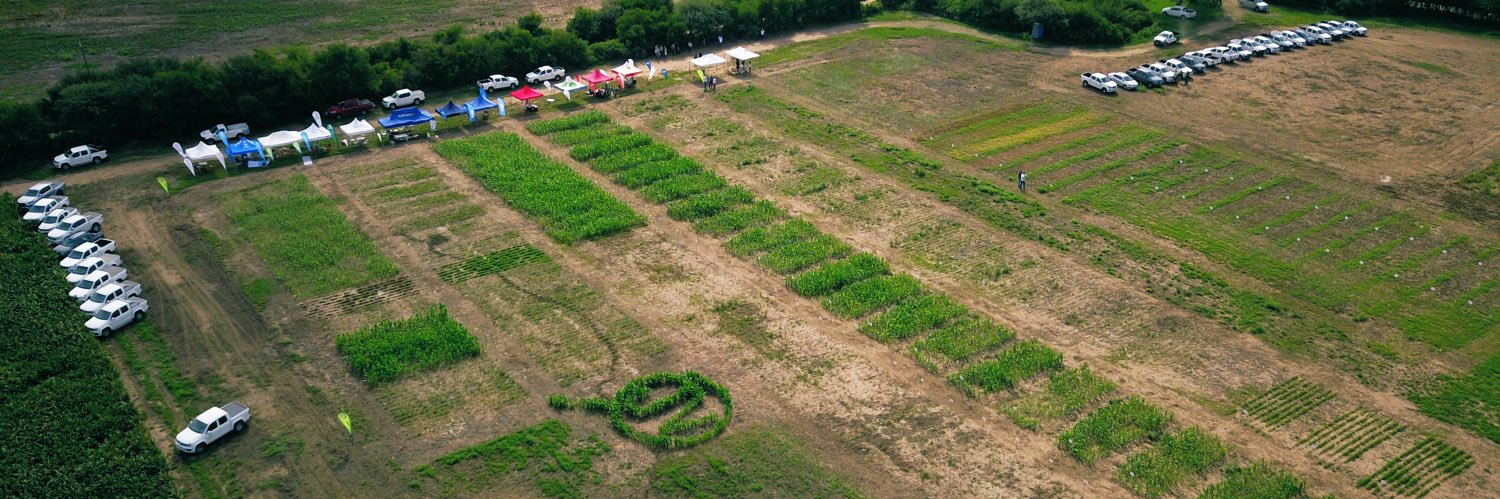 Julio C. Gallo banner