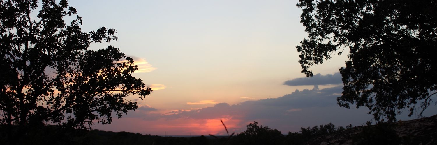 carmenop99's profile banner image