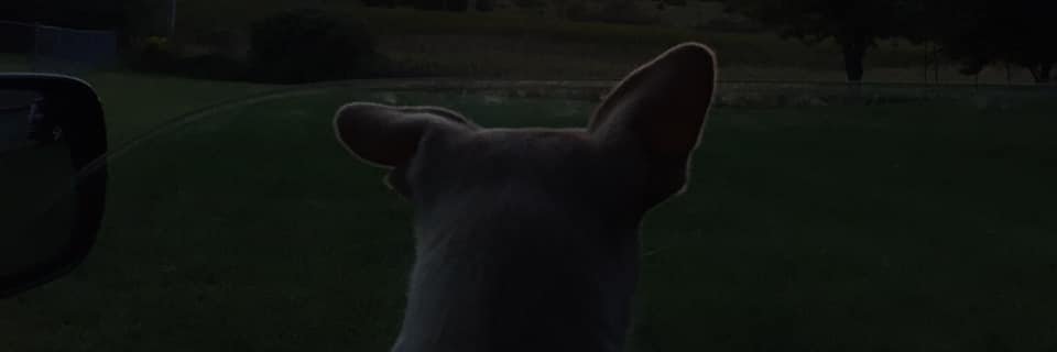 GoddessOfGlass's profile banner image