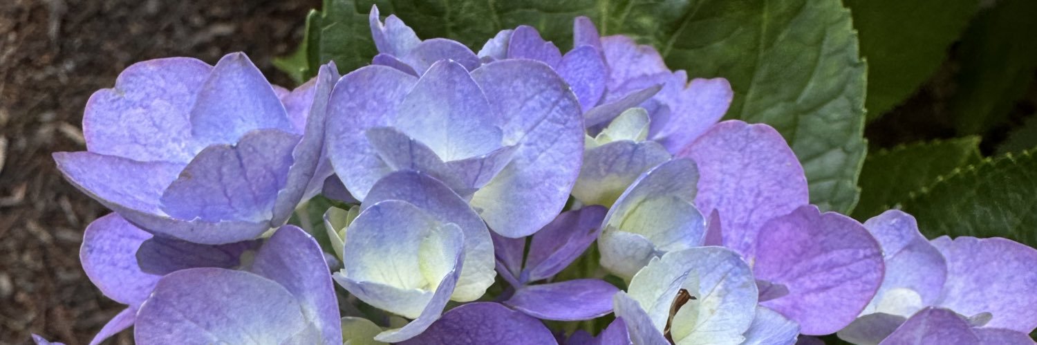 jessica lazar bates banner