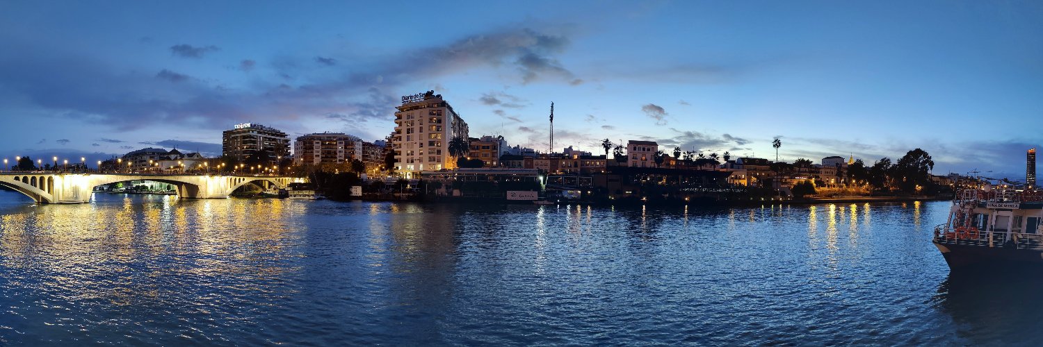 Carlo Reggiani banner