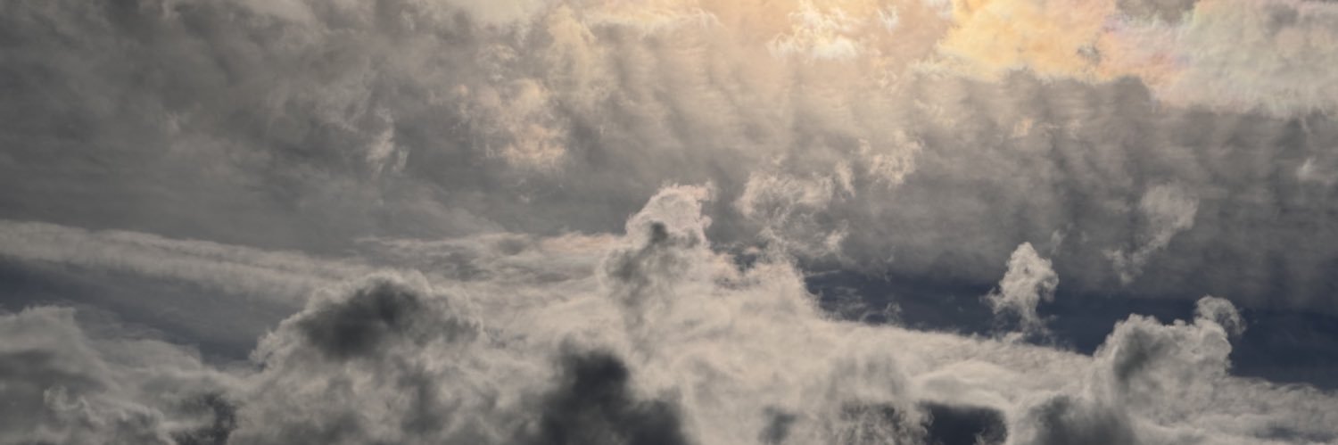 Alexander Bormann banner