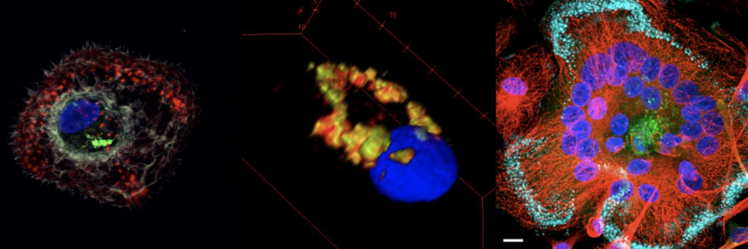 Philippe Benaroch banner