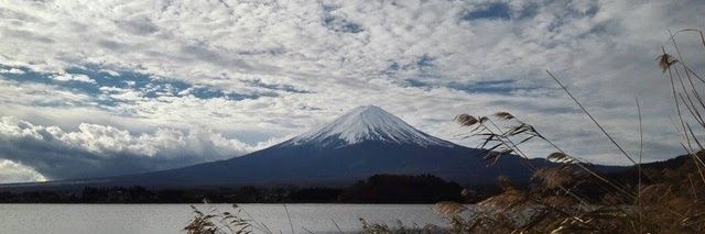 kashinoki19's profile banner image