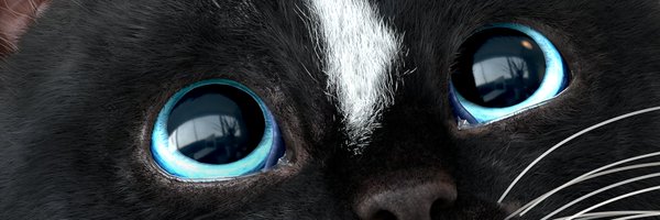 FeliniRocks Profile Banner