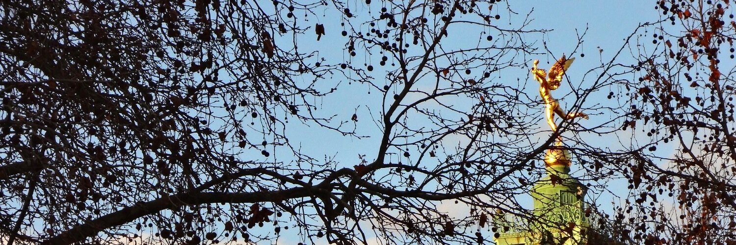 Rousseau Agnes banner