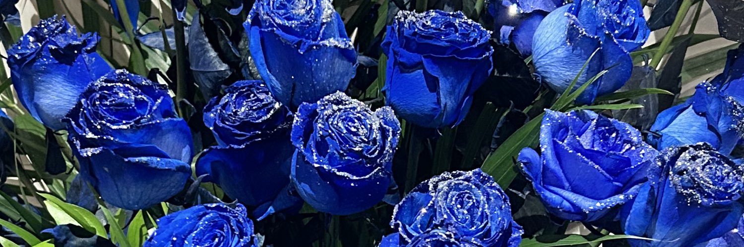 ナイル banner