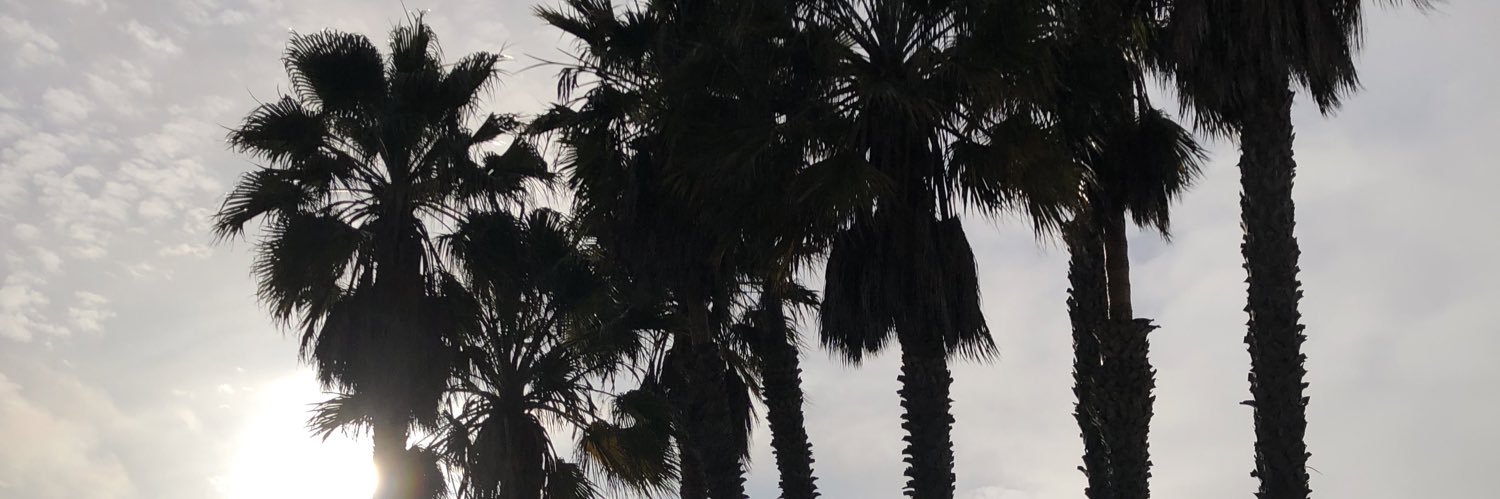 zapoooooch's profile banner image