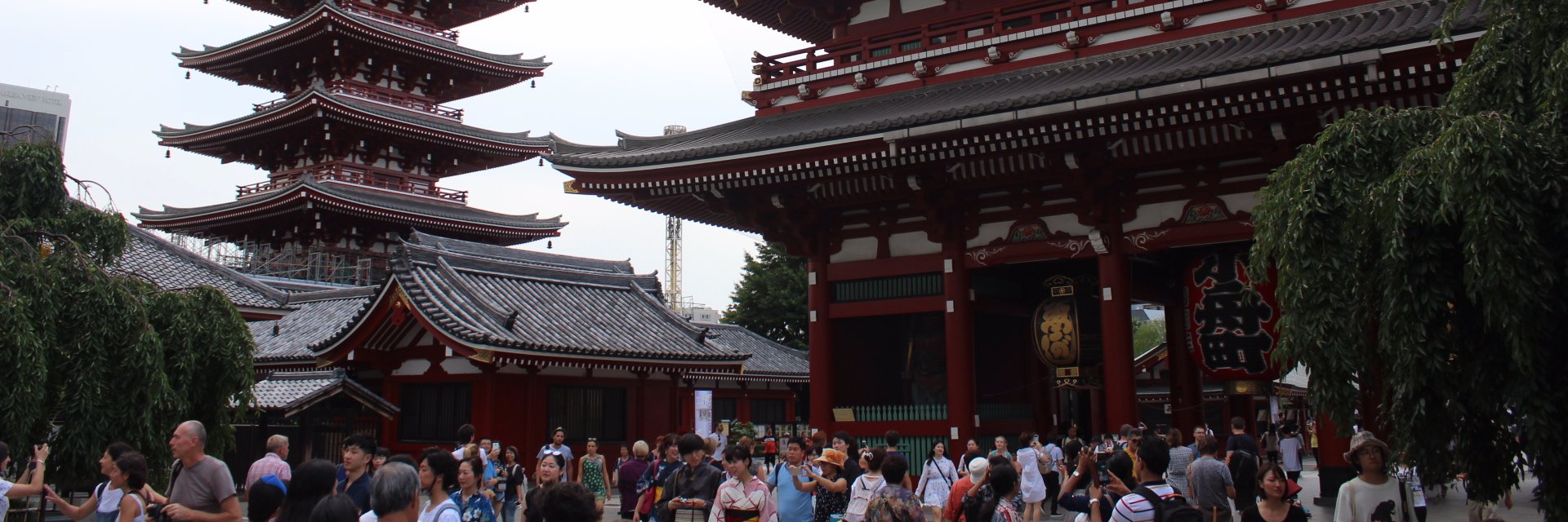 Social Media Experts banner