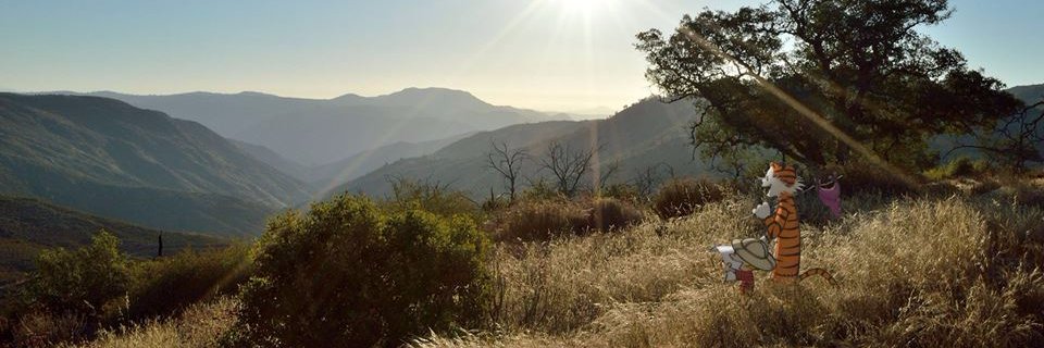 BrettBye's profile banner image