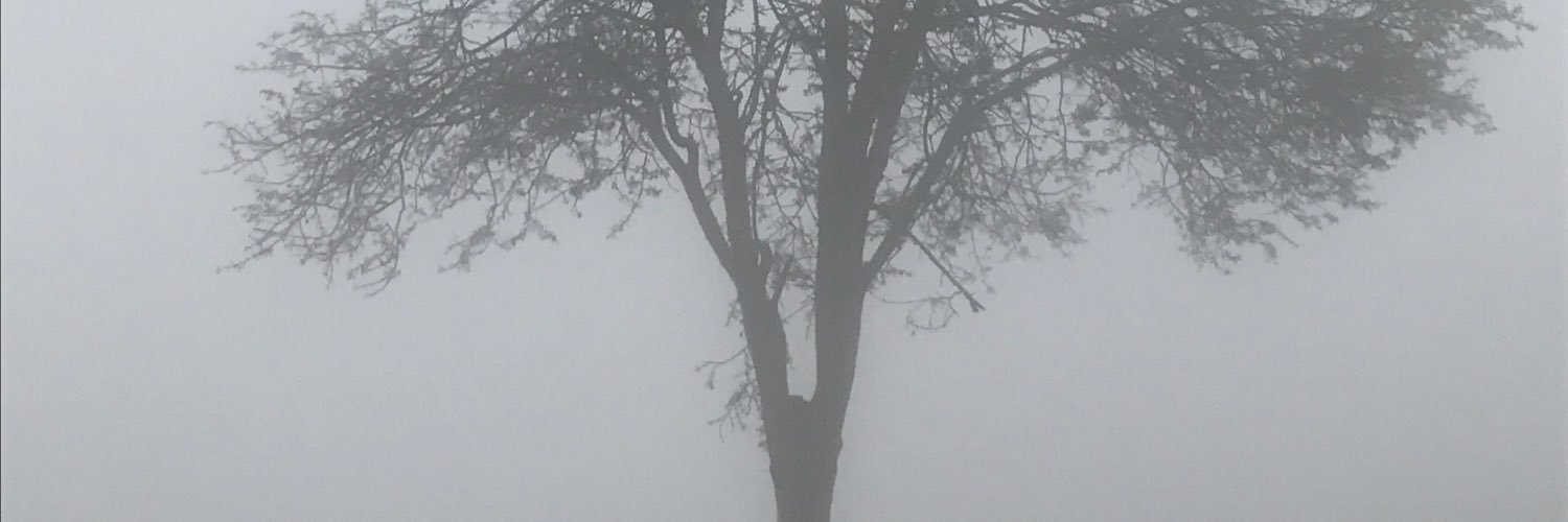 selvarf16's profile banner image