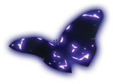 Hawkmoth banner