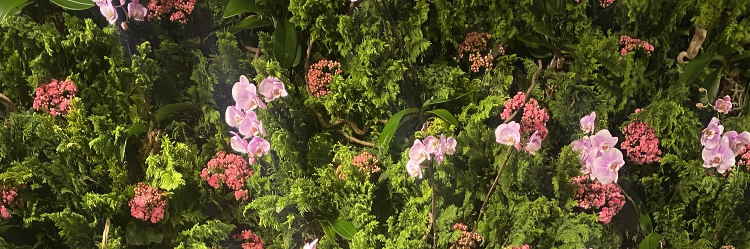 mmariatavares's profile banner image