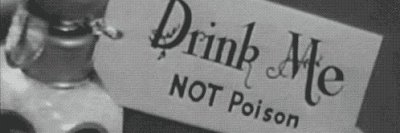 𝚂𝚑𝚊𝚗𝚎 𝚂𝚊𝚗𝚍𝚎𝚛𝚜 banner