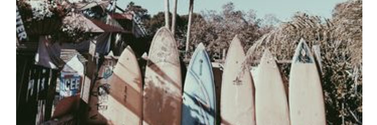 Shaylie Hughes banner