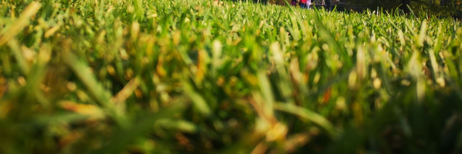 drndi's profile banner image