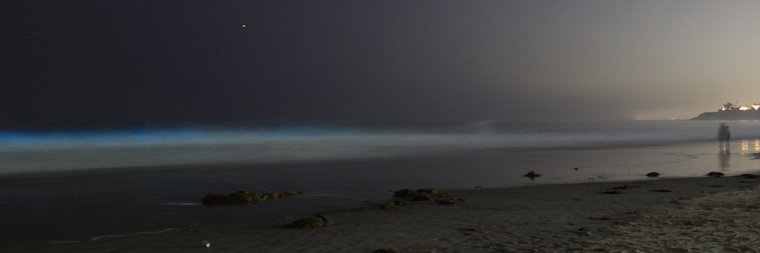 The Children’s Doctor banner