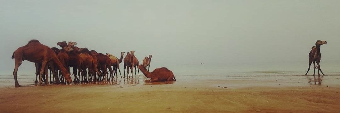3drism's profile banner image