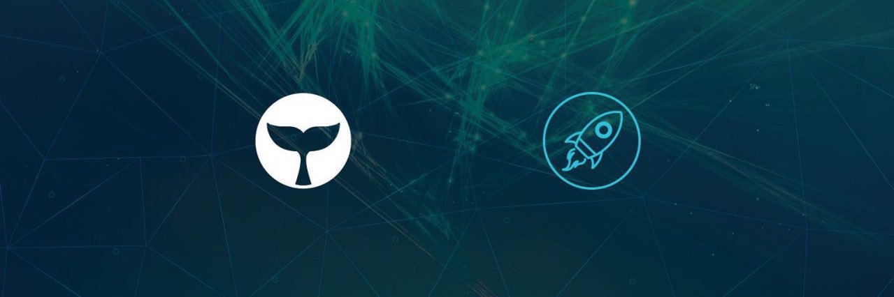 Beluga Pay banner