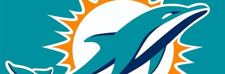 Utdolfan13's profile banner image