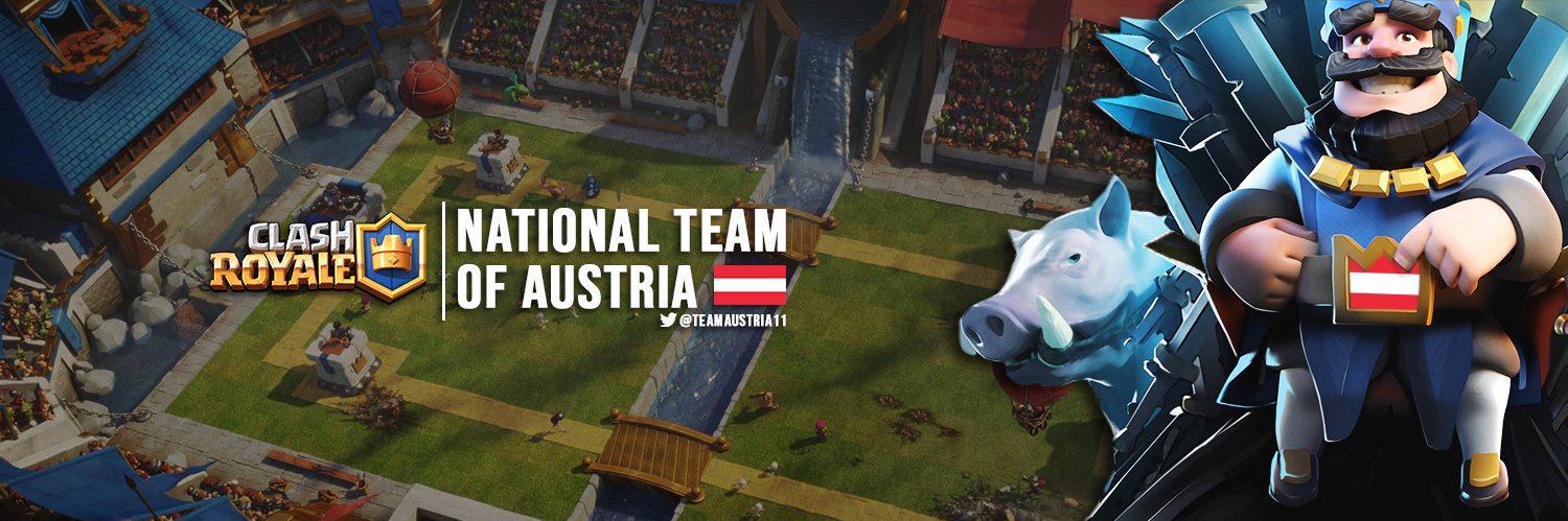 Team Austria banner