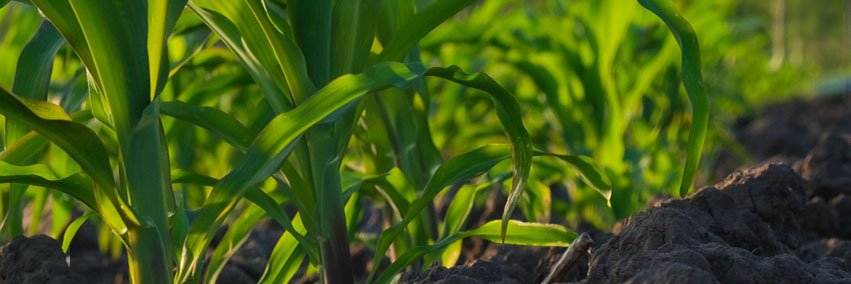 ProFarmGroup's profile banner image