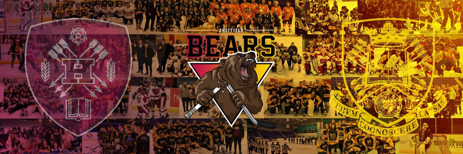 Sheffield Bears banner