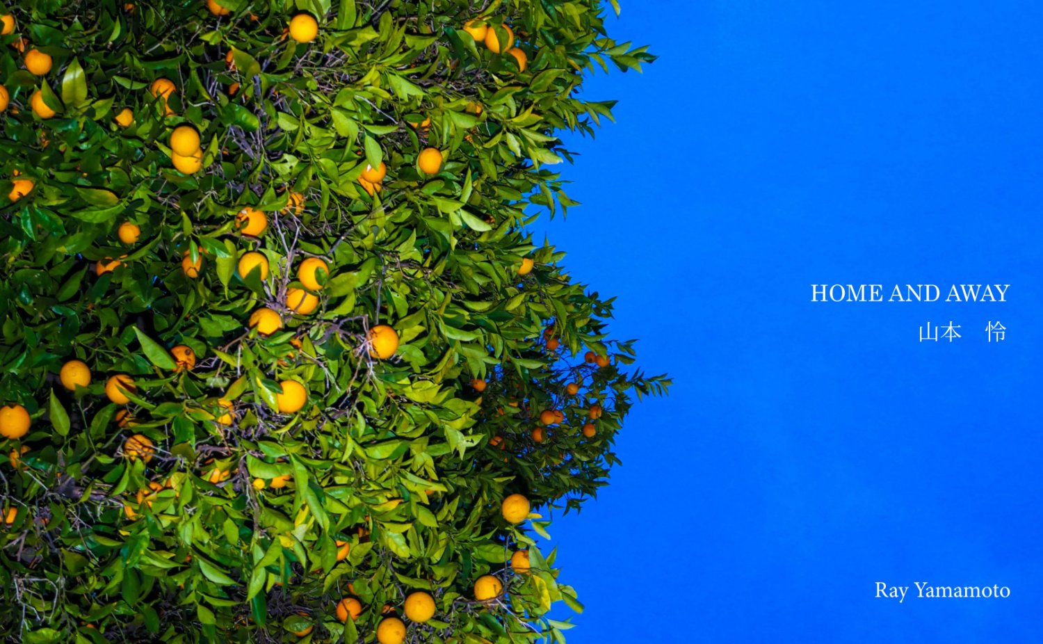 rayyburneracc's profile banner image