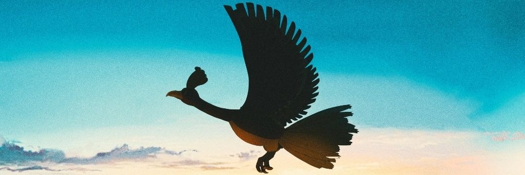 🦥 Foki mosseba's banner