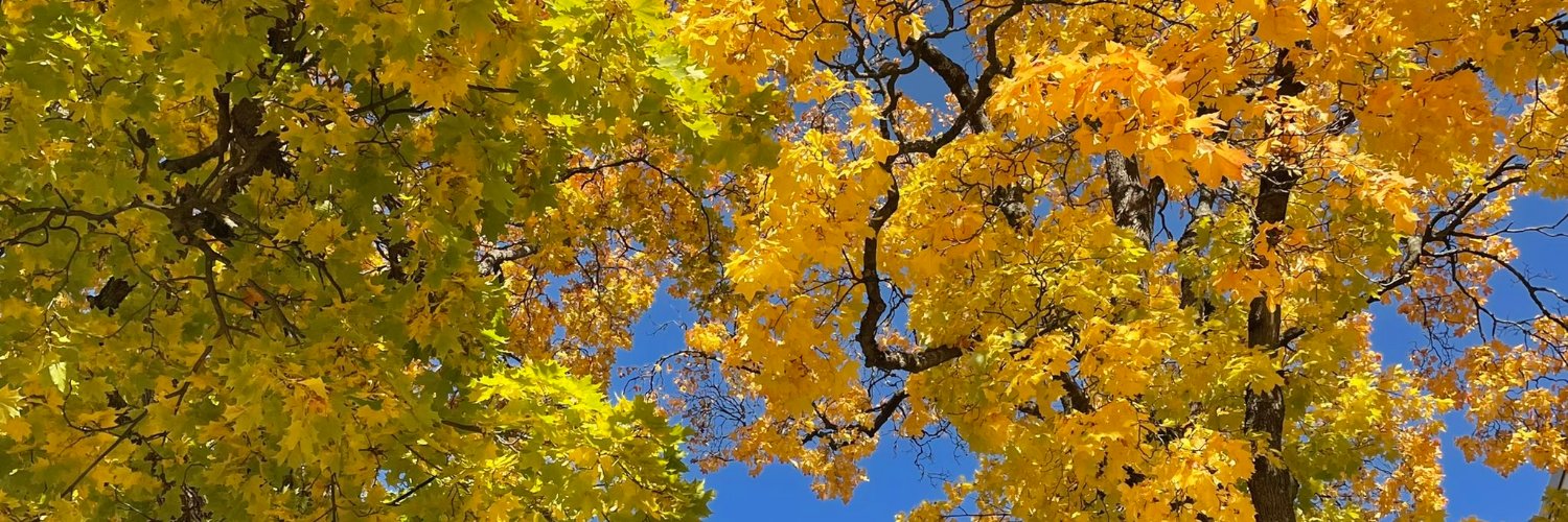 Mari-Liisa Varila banner