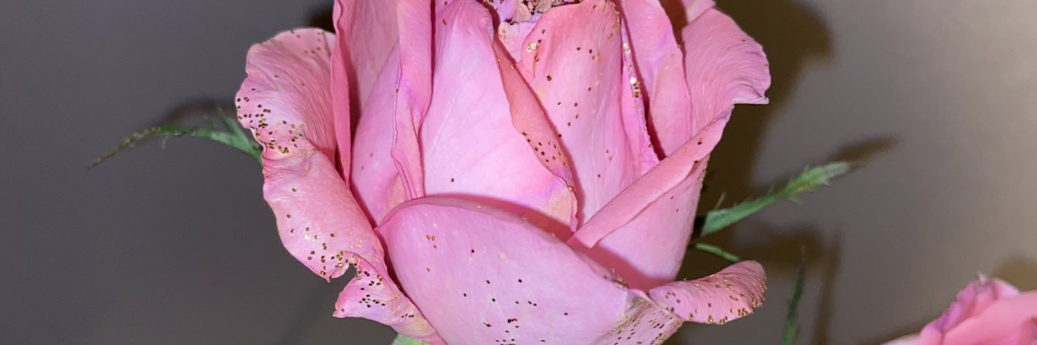 _alizee_a's profile banner image