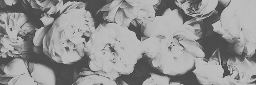 PourexNiam's profile banner image