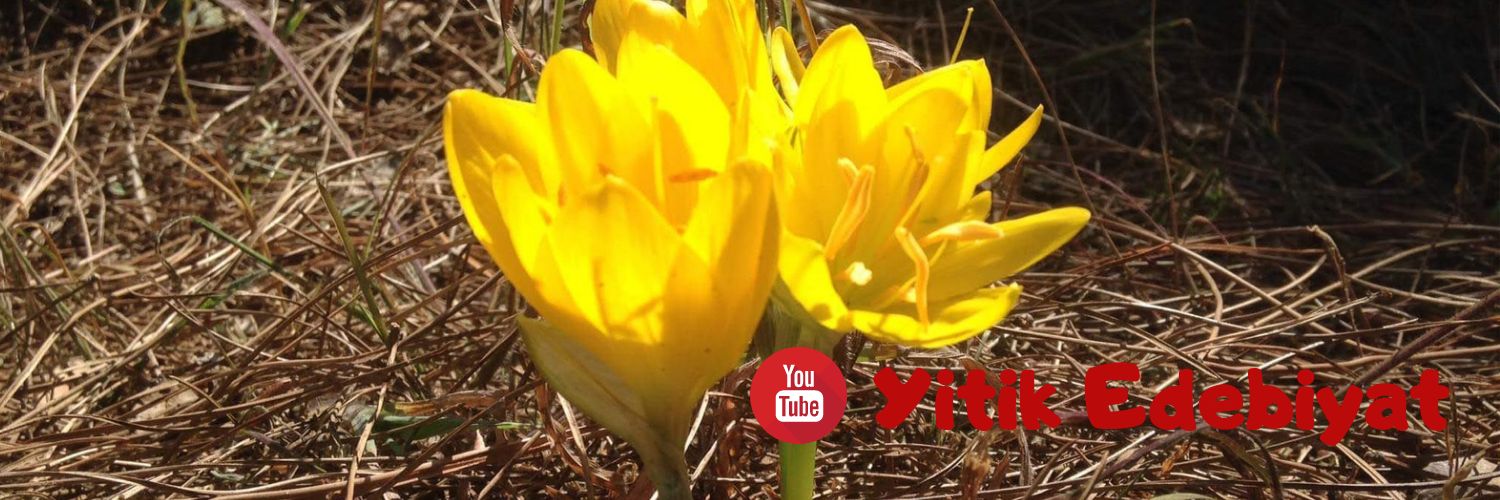 Yitik_Edebiyat's profile banner image