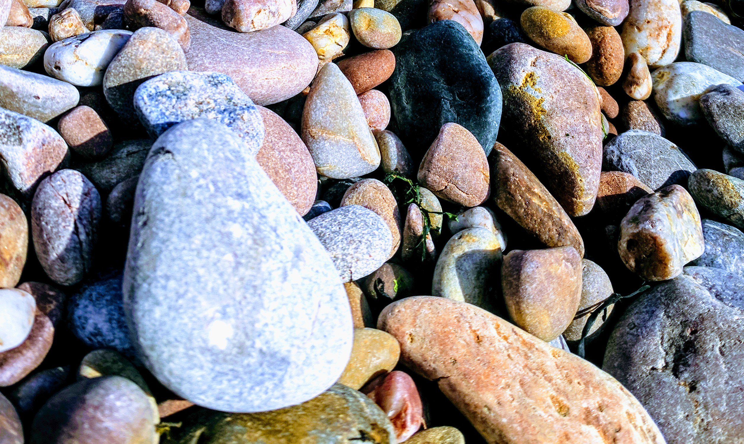 Rachel Higginson FCCT banner