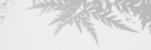 RANA__alsaed's profile banner image