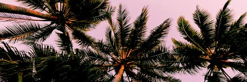 melikeuyarr's profile banner image