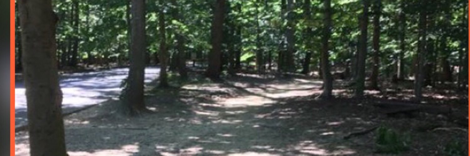 Monica Todaro banner