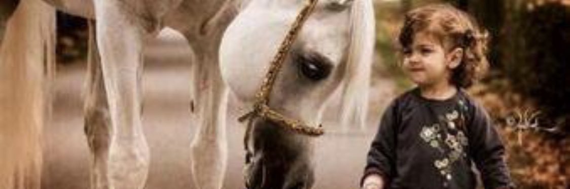 MUNERH_F's profile banner image