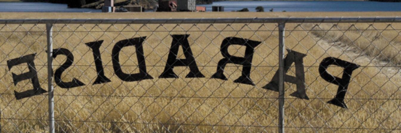 Fernando Rodríguez banner