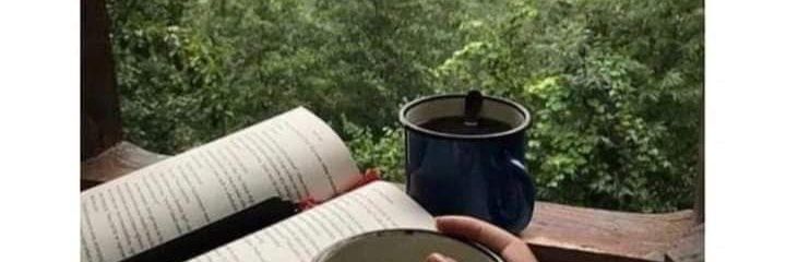 SingrayBandra's profile banner image