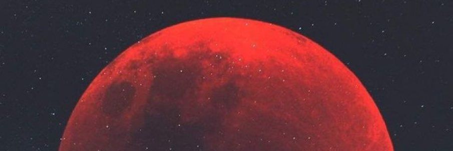 Reactxr's profile banner image