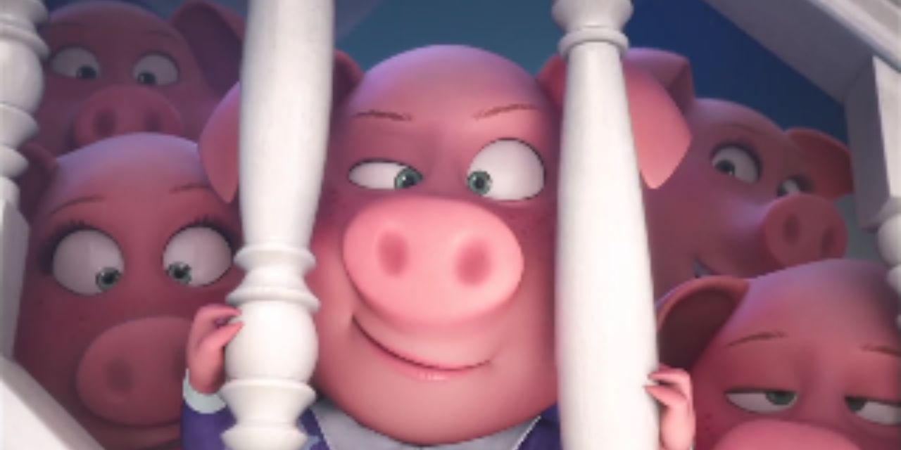 danko9999's profile banner image