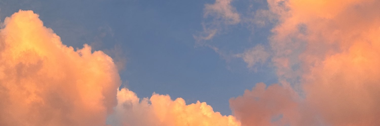 Snowsa's profile banner image