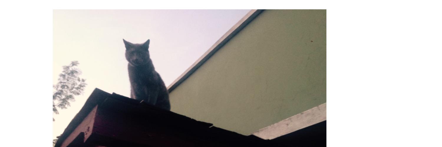 guilleleal's profile banner image